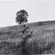 Analog Photo B/W - old
