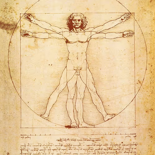 Anatomical - old