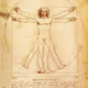 Anatomical - old