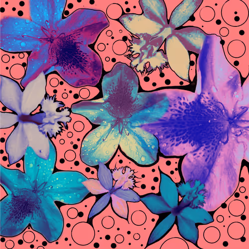 The Anatomy of Flowers
