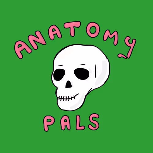 Anatomy Pals