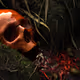 Ancient Skulls of  Aokigahara - old
