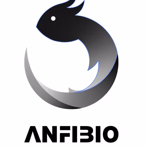 Anfibio Football Collectibles