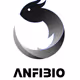 Anfibio Football Collectibles