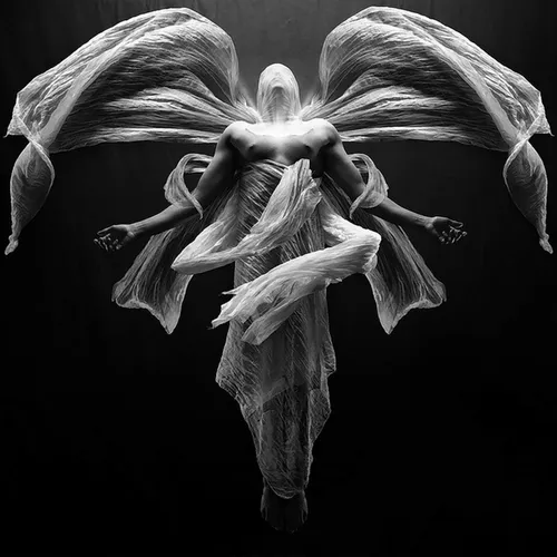 Angel in the dark
