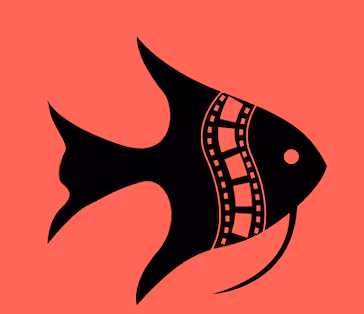 ANGEL FISH GALLERY