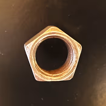 Angelika Walter's Newest NFTs