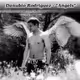 Angels (album)
