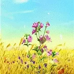 ANGLE Knowledge Quiz Rewards