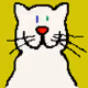 Angora Felis Catus