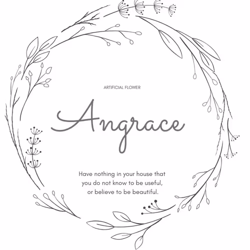 Angrace Collection