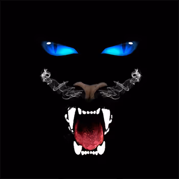 angry black jaguar