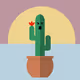 Angry cactus