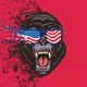 NFT Angry Apes AR - old
