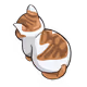 Angy Kittehs
