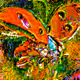 Animalulu - old