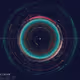 animal_in_universe