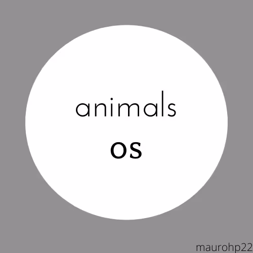 Animal Os