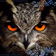 Animal  portraits - old