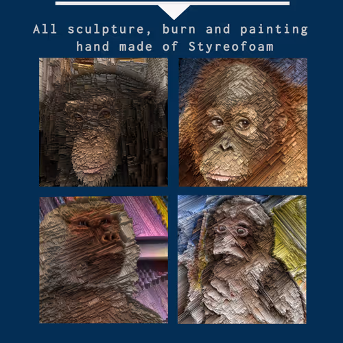 Animal Series 2022