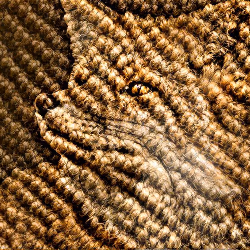 Animal Texture