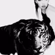 Animalandmodel