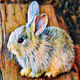 Animal Art by PeYim