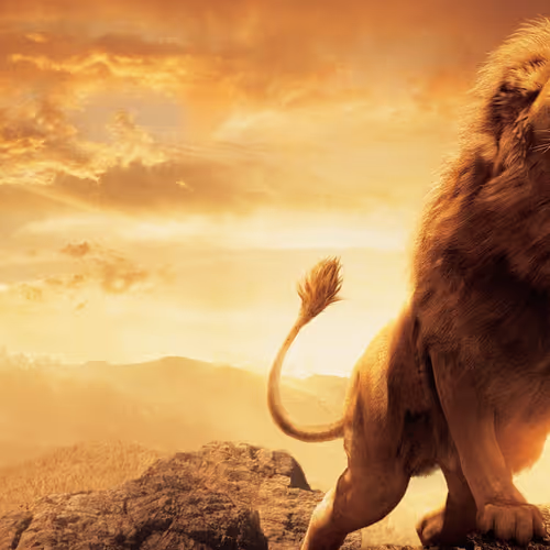 Animales Salvajes Nfts