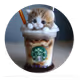 Animal Latte