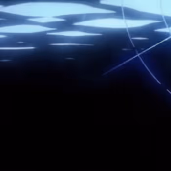 Animal NFT Collection