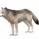 animals 3D model