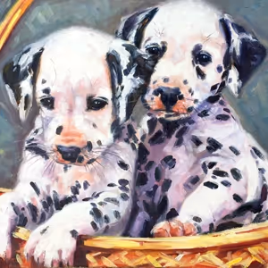 Animals and Birds Art Collection