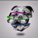 Animals art design photographer - old