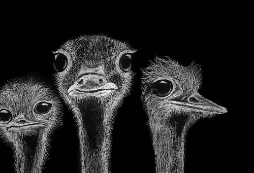 Animals by Bala. - old