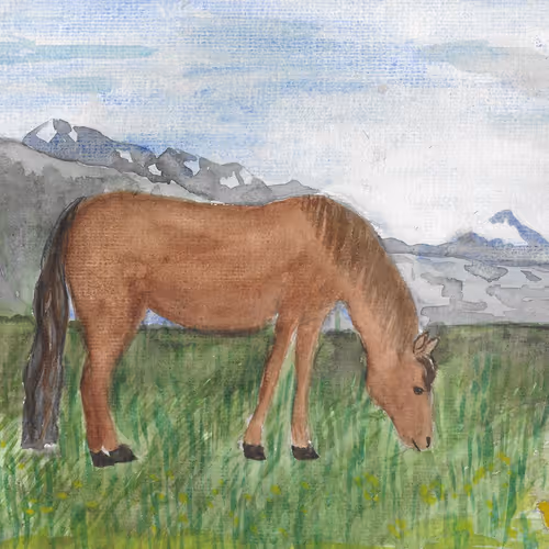 Animals by Vika