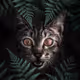 Animals Forest