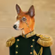 Animals in character