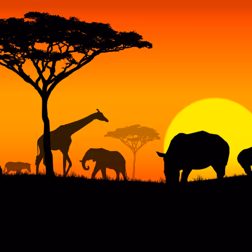 Sweet animals of Africa