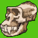 Animals skull crypto pixel art