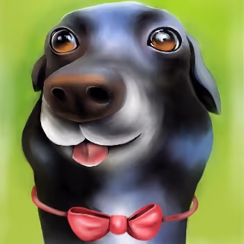 Wonderful animal world