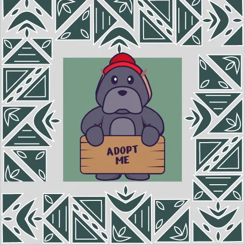 Animals Adoption