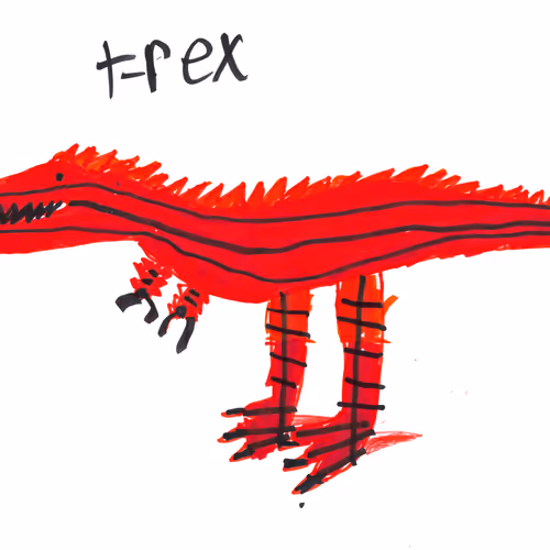 Animals of the Universe