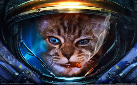 Catstronaut - old