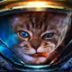 Catstronaut - old