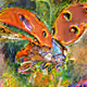 Animalulu