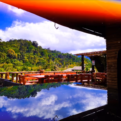 animated natural collection