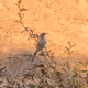 Animated Photography