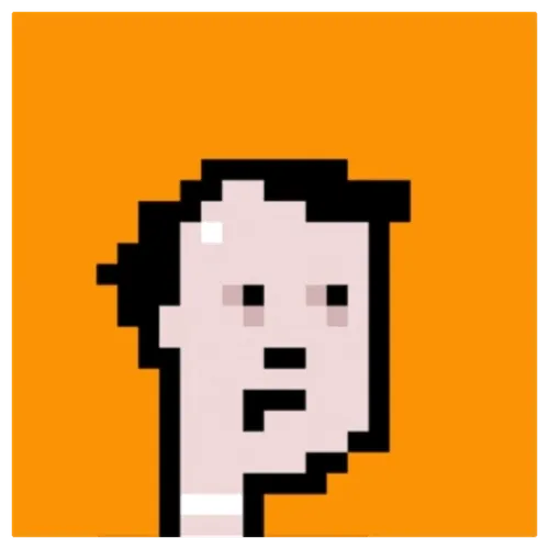 Animated Punks Collection - old