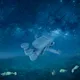 AnimatedLandscapes