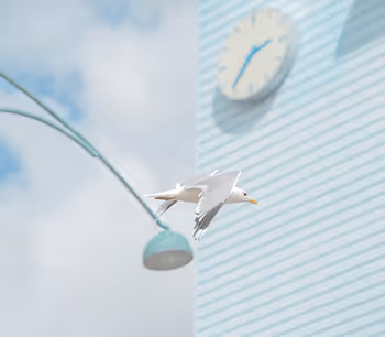 The series "Start Again"